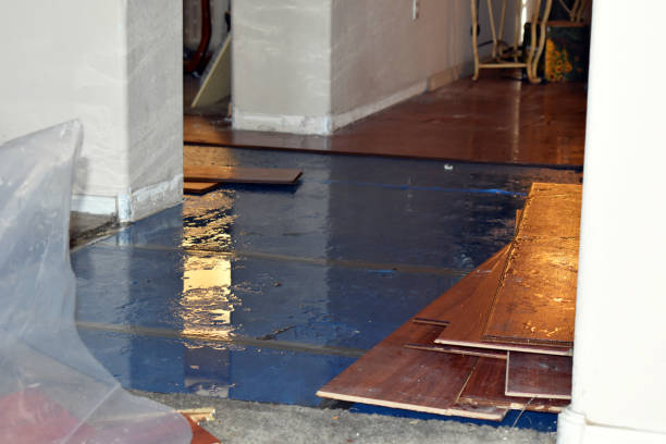 Professional Burst Pipe Water Damage technician working in Century, FL